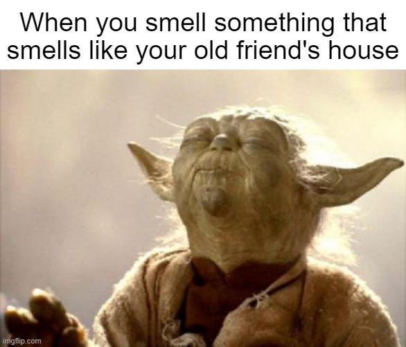 yoda smell | When you smell something that smells like your old friend's house | image tagged in yoda smell | made w/ Imgflip meme maker