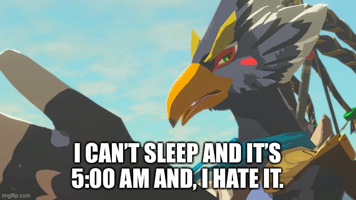 I can’t sleep... | I CAN’T SLEEP AND IT’S 5:00 AM AND, I HATE IT. | image tagged in revali thinks it's asinine | made w/ Imgflip meme maker