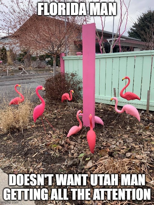 Pie jesu domine dona eis requiem | FLORIDA MAN; DOESN'T WANT UTAH MAN GETTING ALL THE ATTENTION | image tagged in florida man,obelisk,utah,flamingo,meme,funny | made w/ Imgflip meme maker