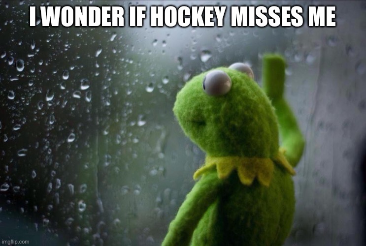 Desert Sports | I WONDER IF HOCKEY MISSES ME | image tagged in desert sports | made w/ Imgflip meme maker