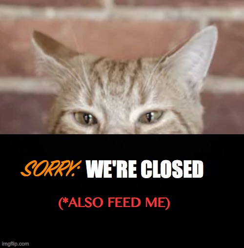 Cat rules (The house) | SORRY:; WE'RE CLOSED; (*ALSO FEED ME) | image tagged in kitty cash,business,rules,feed me,food,hey you | made w/ Imgflip meme maker