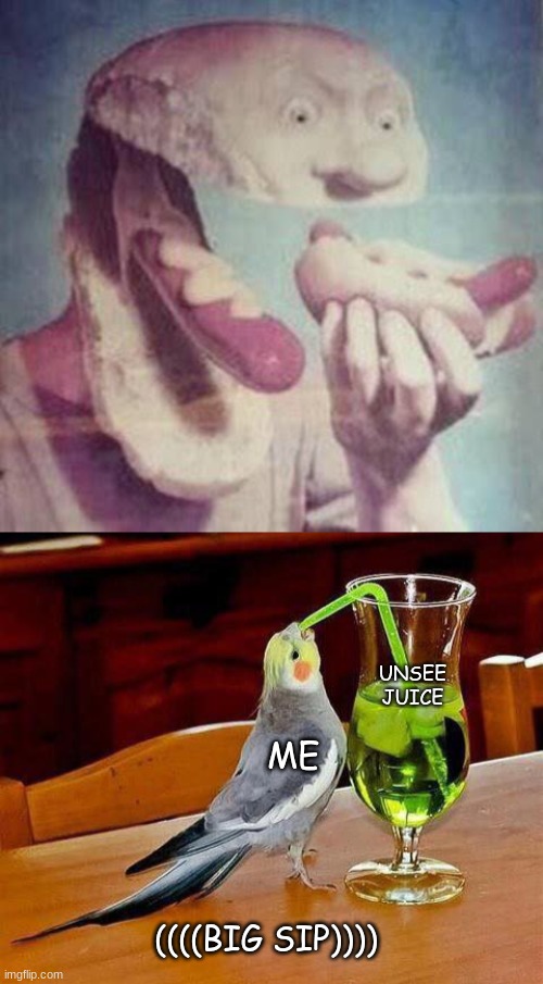  UNSEE JUICE; ME; ((((BIG SIP)))) | image tagged in hot dog eating a hot dog,big sip | made w/ Imgflip meme maker
