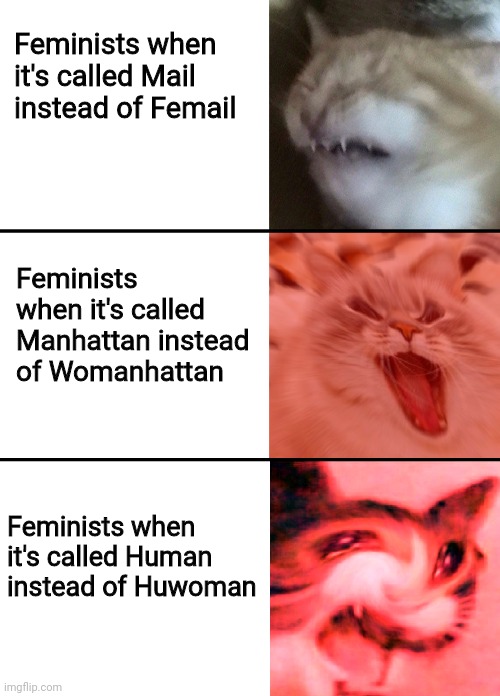 Huwoman | Feminists when it's called Mail instead of Femail; Feminists when it's called Manhattan instead of Womanhattan; Feminists when it's called Human instead of Huwoman | image tagged in triggered feminist | made w/ Imgflip meme maker