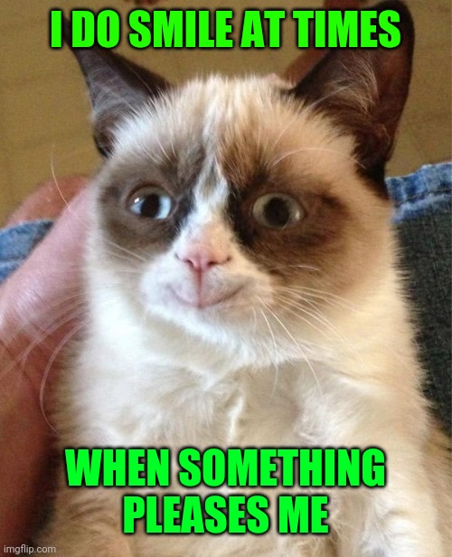 Grumpy Cat Happy Meme | I DO SMILE AT TIMES WHEN SOMETHING PLEASES ME | image tagged in memes,grumpy cat happy,grumpy cat | made w/ Imgflip meme maker