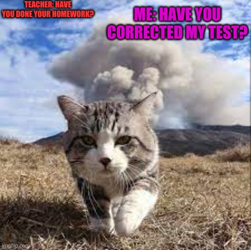Homework cat | TEACHER: HAVE YOU DONE YOUR HOMEWORK? ME: HAVE YOU CORRECTED MY TEST? | image tagged in cat and explosion | made w/ Imgflip meme maker