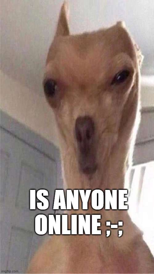 why dis a public template T-T | IS ANYONE ONLINE ;-; | image tagged in deformed doggo | made w/ Imgflip meme maker