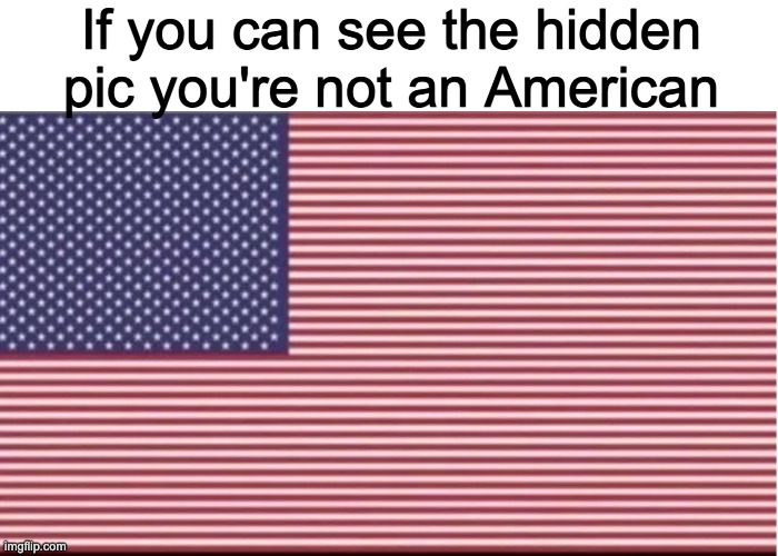Flag | If you can see the hidden pic you're not an American | image tagged in can you see it,american flag | made w/ Imgflip meme maker