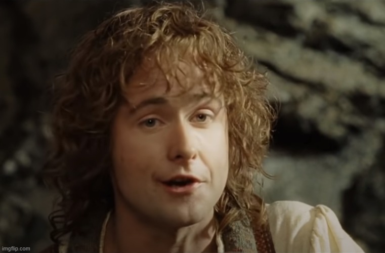 pippin particularly good | image tagged in particularly good,pippin,lotr,good | made w/ Imgflip meme maker