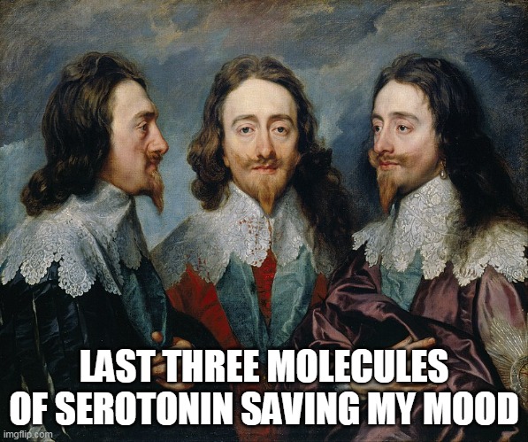 Joyous Life | LAST THREE MOLECULES OF SEROTONIN SAVING MY MOOD | image tagged in funny memes,art memes | made w/ Imgflip meme maker