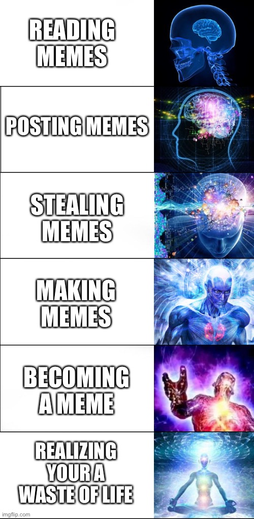 Meme Logic | READING MEMES; POSTING MEMES; STEALING MEMES; MAKING MEMES; BECOMING A MEME; REALIZING YOUR A WASTE OF LIFE | image tagged in memes,brain levels | made w/ Imgflip meme maker