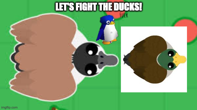 Penguins and gooses are gonna fight ducks (look at the tags) | LET'S FIGHT THE DUCKS! | image tagged in penguin gang,goose,gang,vs,duck,gangs | made w/ Imgflip meme maker