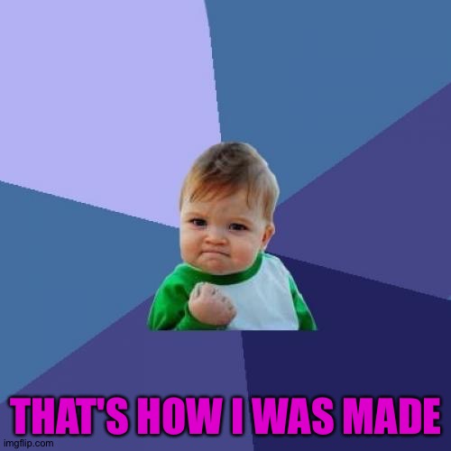 Success Kid Meme | THAT'S HOW I WAS MADE | image tagged in memes,success kid | made w/ Imgflip meme maker