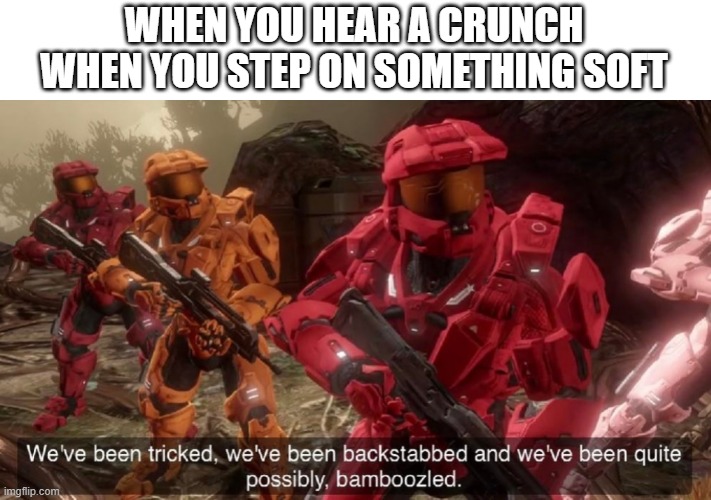 We have ben bamboozled halo | WHEN YOU HEAR A CRUNCH WHEN YOU STEP ON SOMETHING SOFT | image tagged in we have ben bamboozled halo | made w/ Imgflip meme maker