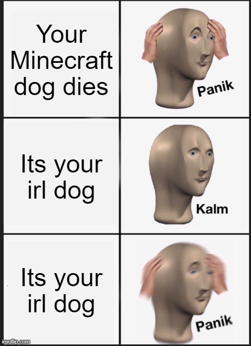 Panik Kalm Panik | Your Minecraft dog dies; Its your irl dog; Its your irl dog | image tagged in memes,panik kalm panik | made w/ Imgflip meme maker