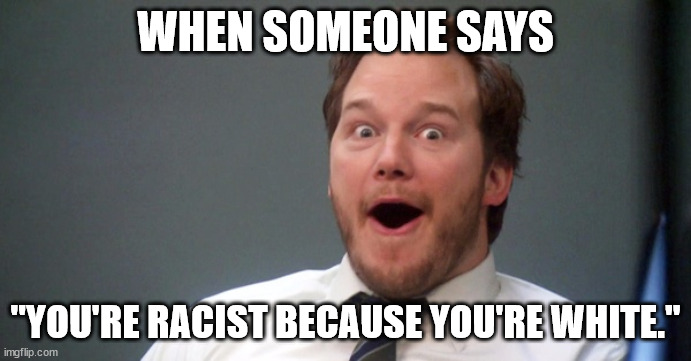 Parks and Recreation | WHEN SOMEONE SAYS; "YOU'RE RACIST BECAUSE YOU'RE WHITE." | image tagged in parks and recreation | made w/ Imgflip meme maker