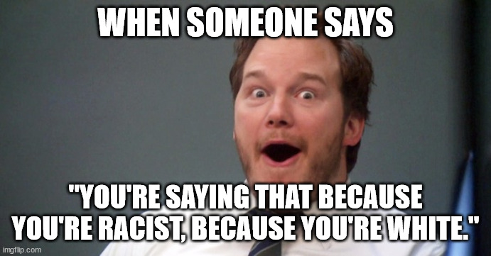 Parks and Recreation | WHEN SOMEONE SAYS; "YOU'RE SAYING THAT BECAUSE YOU'RE RACIST, BECAUSE YOU'RE WHITE." | image tagged in parks and recreation | made w/ Imgflip meme maker