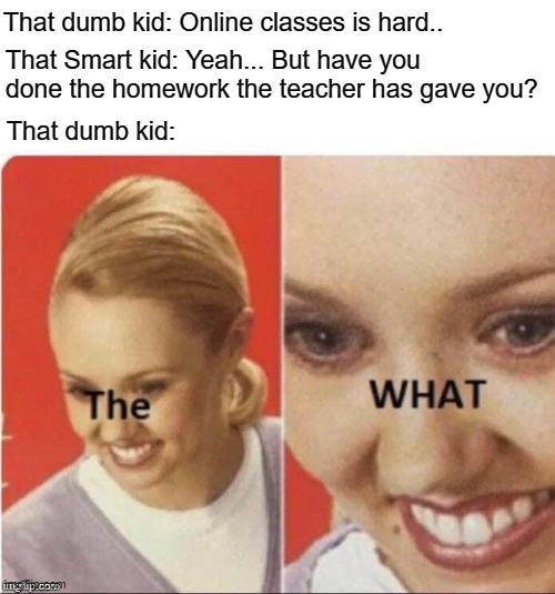 Homework | That dumb kid: Online classes is hard.. That Smart kid: Yeah... But have you done the homework the teacher has gave you? That dumb kid: | image tagged in the what | made w/ Imgflip meme maker