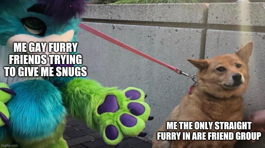 Furry scaring dog | ME GAY FURRY FRIENDS TRYING TO GIVE ME SNUGS; ME THE ONLY STRAIGHT FURRY IN ARE FRIEND GROUP | image tagged in furry scaring dog | made w/ Imgflip meme maker