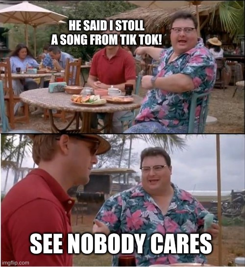 See Nobody Cares | HE SAID I STOLL A SONG FROM TIK TOK! SEE NOBODY CARES | image tagged in memes,see nobody cares | made w/ Imgflip meme maker