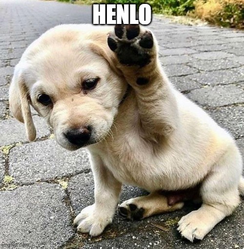 Henlo doggo | HENLO | image tagged in henlo doggo | made w/ Imgflip meme maker