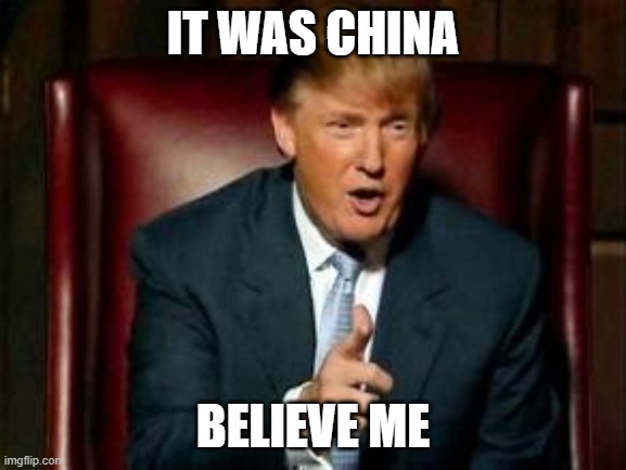 Donald Trump | IT WAS CHINA BELIEVE ME | image tagged in donald trump | made w/ Imgflip meme maker