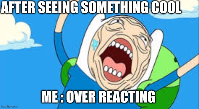 Over reacting Finn | AFTER SEEING SOMETHING COOL; ME: OVERREACTING | image tagged in over reacting finn | made w/ Imgflip meme maker