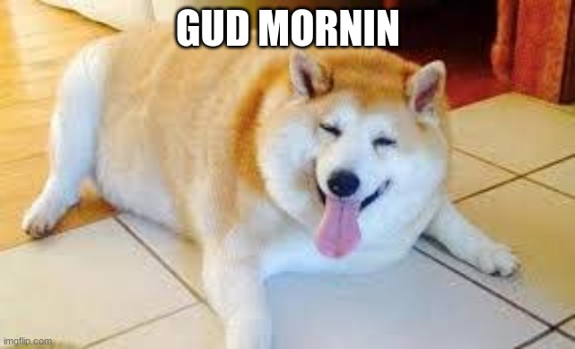 Thicc Doggo | GUD MORNIN | image tagged in thicc doggo | made w/ Imgflip meme maker