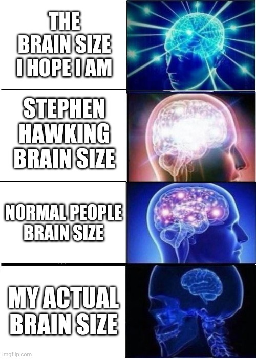 Umm.... This is the title | THE BRAIN SIZE I HOPE I AM; STEPHEN HAWKING BRAIN SIZE; NORMAL PEOPLE BRAIN SIZE; MY ACTUAL BRAIN SIZE | image tagged in imploding brain,rip | made w/ Imgflip meme maker