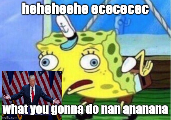 ecec music not real meme | heheheehe ecececec; what you gonna do nan ananana | image tagged in memes,mocking spongebob | made w/ Imgflip meme maker