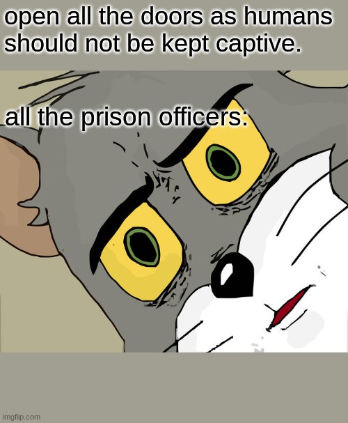 Unsettled Tom Meme | open all the doors as humans should not be kept captive. all the prison officers: | image tagged in memes,unsettled tom | made w/ Imgflip meme maker