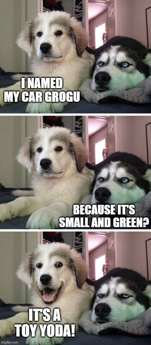 Toy Yoda | I NAMED MY CAR GROGU; BECAUSE IT'S SMALL AND GREEN? IT'S A TOY YODA! | image tagged in dog bad joke | made w/ Imgflip meme maker