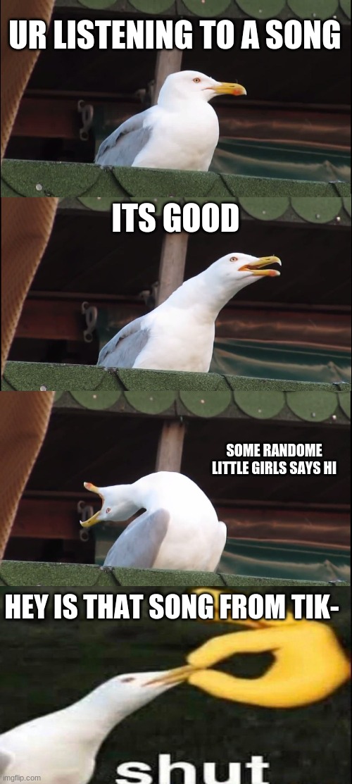 yes | UR LISTENING TO A SONG; ITS GOOD; SOME RANDOME LITTLE GIRLS SAYS HI; HEY IS THAT SONG FROM TIK- | image tagged in memes,inhaling seagull | made w/ Imgflip meme maker