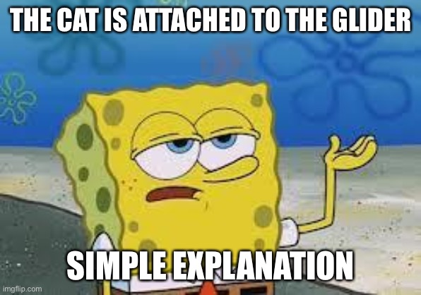 Tough Spongebob | THE CAT IS ATTACHED TO THE GLIDER SIMPLE EXPLANATION | image tagged in tough spongebob | made w/ Imgflip meme maker