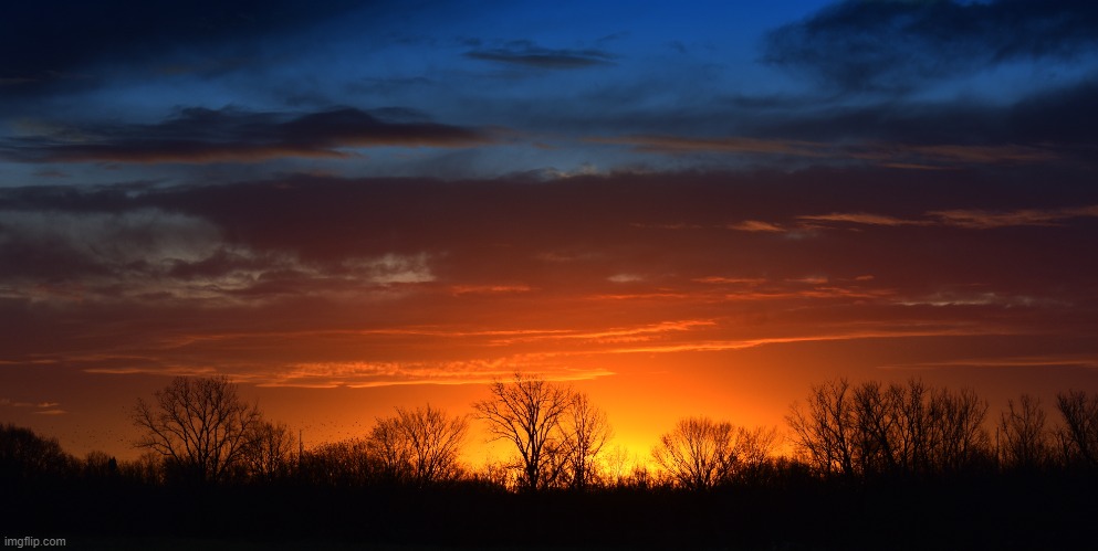 good morning 12-21-2020  nikon d-3400 | made w/ Imgflip meme maker