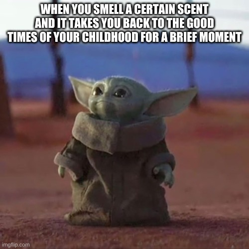 Baby Yoda | WHEN YOU SMELL A CERTAIN SCENT AND IT TAKES YOU BACK TO THE GOOD TIMES OF YOUR CHILDHOOD FOR A BRIEF MOMENT | image tagged in baby yoda | made w/ Imgflip meme maker
