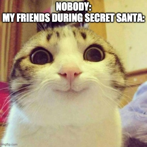 I got a pack of orange tic tacs ( -_-), a music box and stuffed unicorn. | NOBODY:
MY FRIENDS DURING SECRET SANTA: | image tagged in memes,smiling cat | made w/ Imgflip meme maker