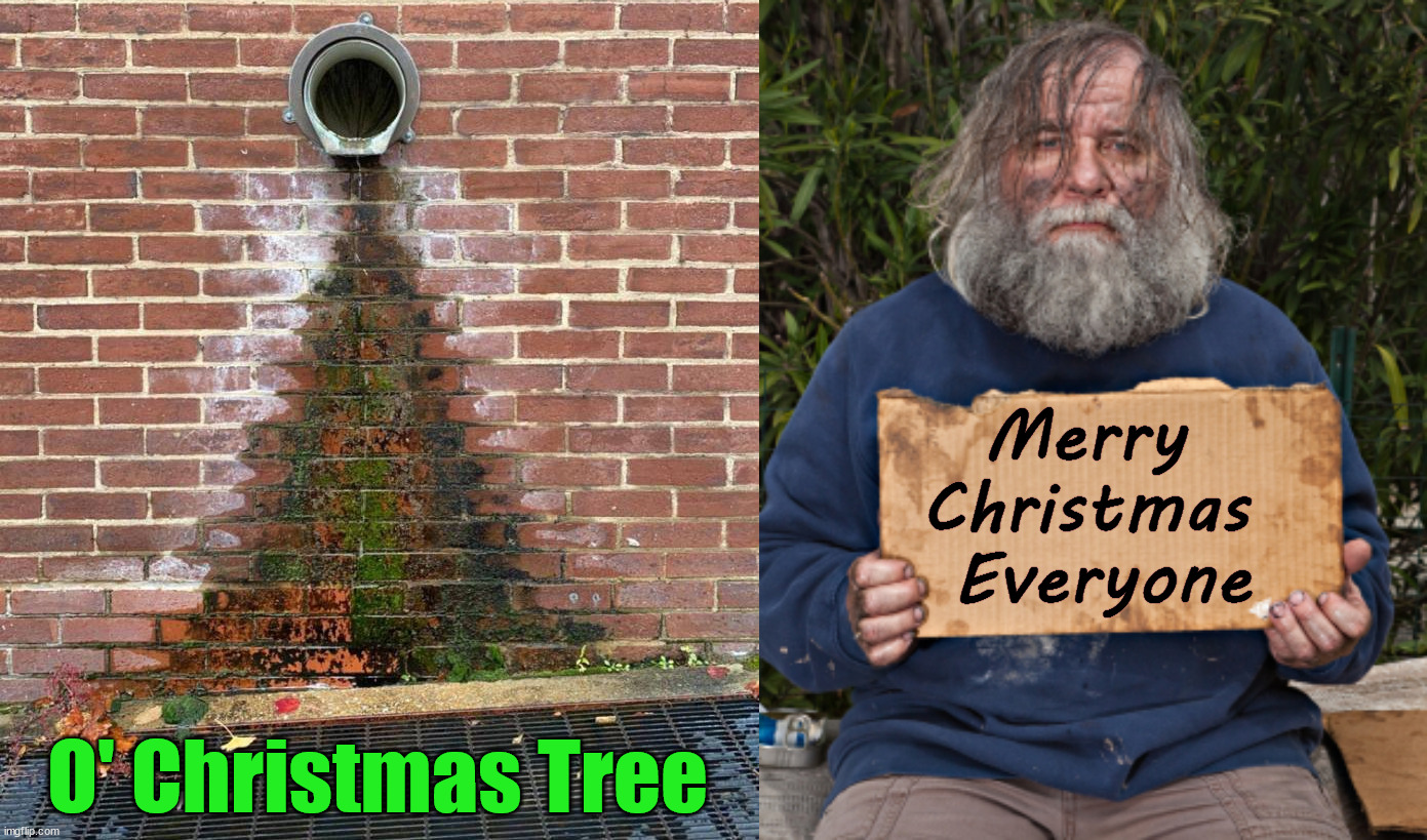 Some people have it worse than you. Help those that need help. | Merry 
Christmas 
Everyone; O' Christmas Tree | image tagged in blak homeless sign,christmas | made w/ Imgflip meme maker