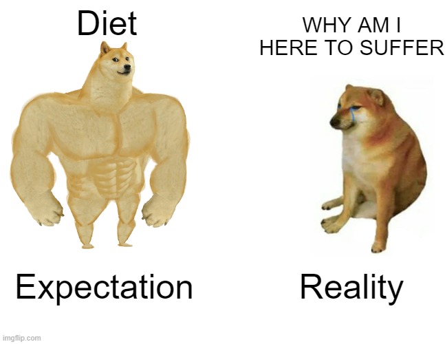 diet | Diet; WHY AM I HERE TO SUFFER; Expectation; Reality | image tagged in memes,buff doge vs cheems | made w/ Imgflip meme maker