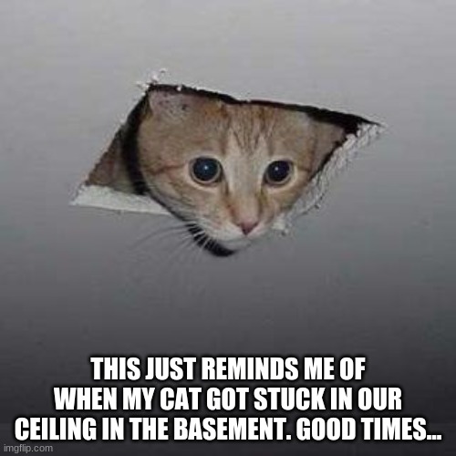 ya | THIS JUST REMINDS ME OF WHEN MY CAT GOT STUCK IN OUR CEILING IN THE BASEMENT. GOOD TIMES... | image tagged in memes,ceiling cat,black cat | made w/ Imgflip meme maker