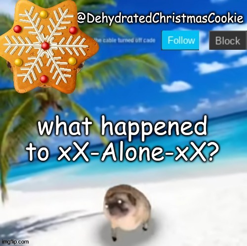 how did this happned??? | what happened to xX-Alone-xX? | image tagged in what happened | made w/ Imgflip meme maker