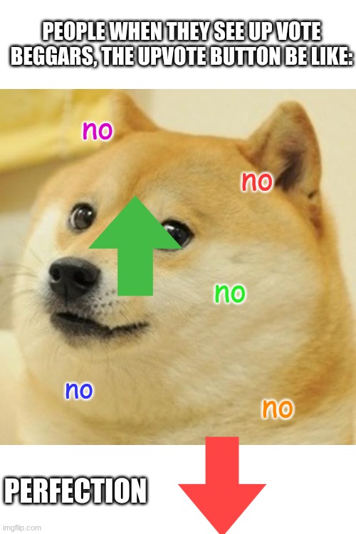 doge of awe | PEOPLE WHEN THEY SEE UP VOTE BEGGARS, THE UPVOTE BUTTON BE LIKE:; no; no; no; no; no; PERFECTION | image tagged in memes,doge | made w/ Imgflip meme maker