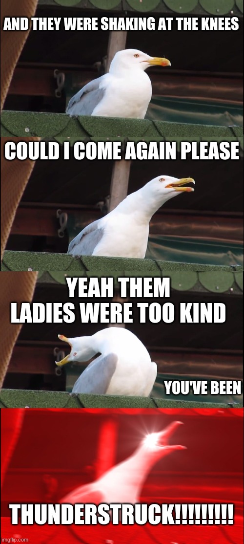 Inhaling Seagull | AND THEY WERE SHAKING AT THE KNEES; COULD I COME AGAIN PLEASE; YEAH THEM LADIES WERE TOO KIND; YOU'VE BEEN; THUNDERSTRUCK!!!!!!!!! | image tagged in memes,inhaling seagull | made w/ Imgflip meme maker
