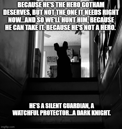 The Dark Frenchie | BECAUSE HE'S THE HERO GOTHAM DESERVES, BUT NOT THE ONE IT NEEDS RIGHT NOW...AND SO WE'LL HUNT HIM, BECAUSE HE CAN TAKE IT. BECAUSE HE'S NOT A HERO. HE'S A SILENT GUARDIAN, A WATCHFUL PROTECTOR...A DARK KNIGHT. | image tagged in frenchie,batman,dogs pets funny,french bulldog | made w/ Imgflip meme maker