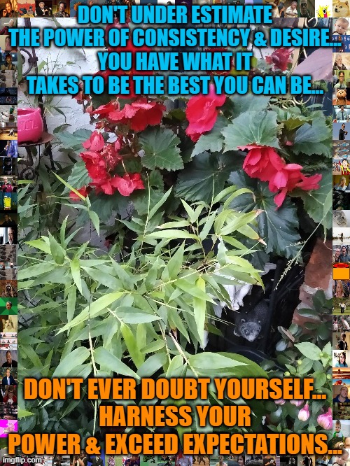 DON'T UNDER ESTIMATE THE POWER OF CONSISTENCY & DESIRE...
YOU HAVE WHAT IT TAKES TO BE THE BEST YOU CAN BE... DON'T EVER DOUBT YOURSELF...
HARNESS YOUR POWER & EXCEED EXPECTATIONS... | made w/ Imgflip meme maker