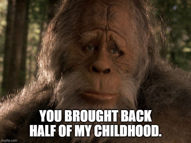 me too | YOU BROUGHT BACK HALF OF MY CHILDHOOD. | image tagged in me too | made w/ Imgflip meme maker