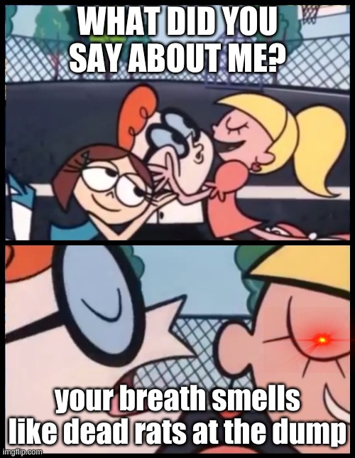 ROASTED BOI | WHAT DID YOU SAY ABOUT ME? your breath smells like dead rats at the dump | image tagged in memes,say it again dexter | made w/ Imgflip meme maker