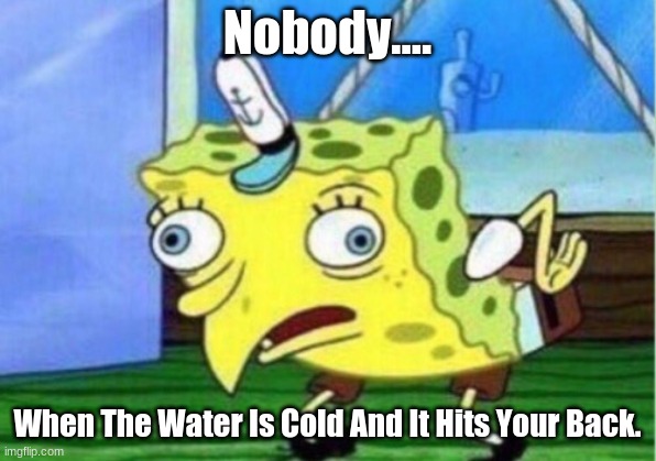 Mocking Spongebob | Nobody.... When The Water Is Cold And It Hits Your Back. | image tagged in memes,mocking spongebob | made w/ Imgflip meme maker