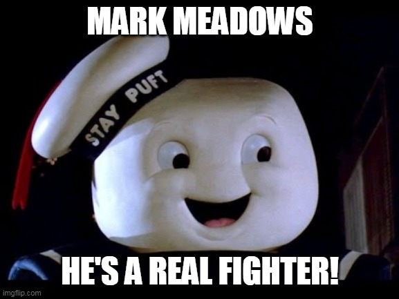 MARK MEADOWS; HE'S A REAL FIGHTER! | made w/ Imgflip meme maker