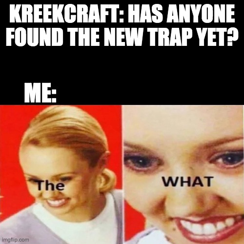 The What | KREEKCRAFT: HAS ANYONE FOUND THE NEW TRAP YET? ME: | image tagged in the what | made w/ Imgflip meme maker