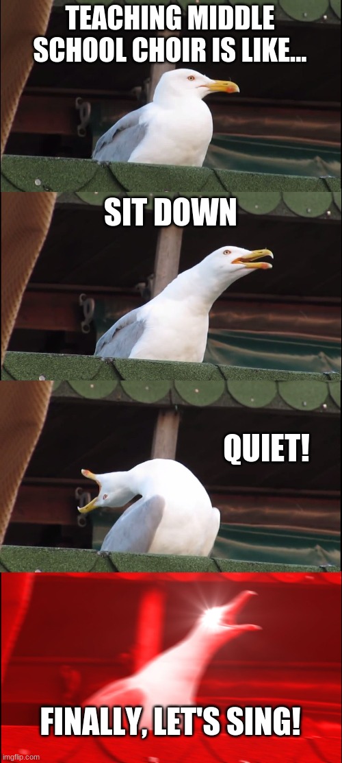 Middle School Choir | TEACHING MIDDLE SCHOOL CHOIR IS LIKE... SIT DOWN; QUIET! FINALLY, LET'S SING! | image tagged in memes,inhaling seagull | made w/ Imgflip meme maker